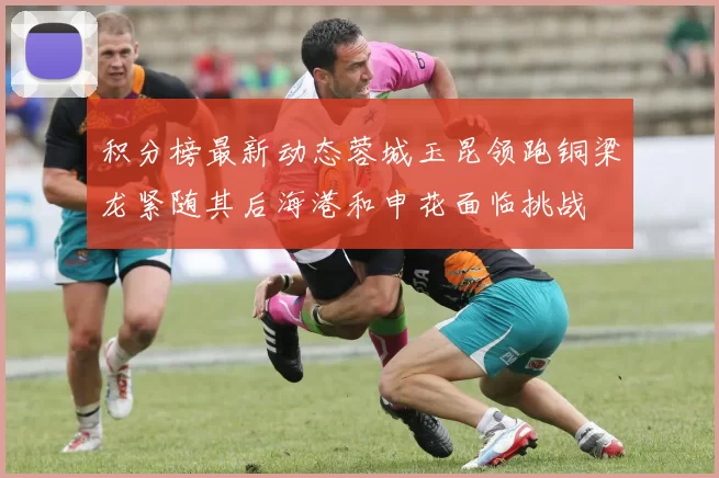 积分榜最新动态蓉城玉昆领跑铜梁龙紧随其后海港和申花面临挑战
